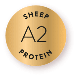 A2 protein