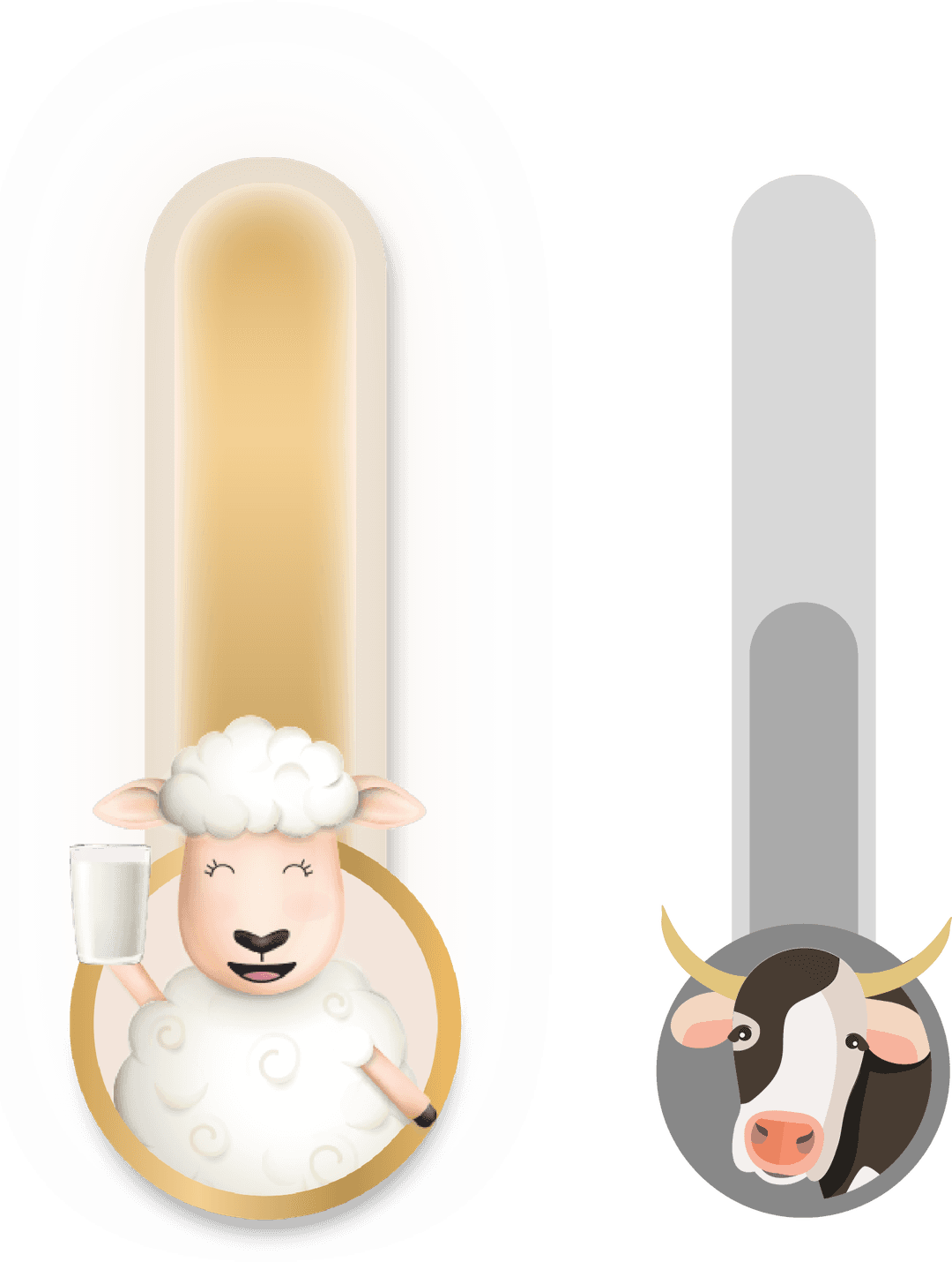 Graph showing more protein and calcium in sheep milk compared to cow's milk