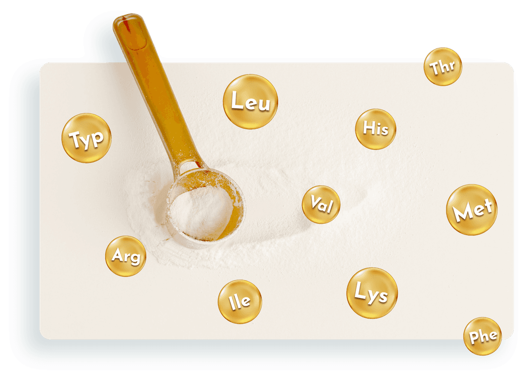 Milk powder and 10 amino acids